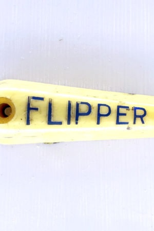 Bras de flipper