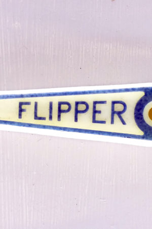 Bras de flipper