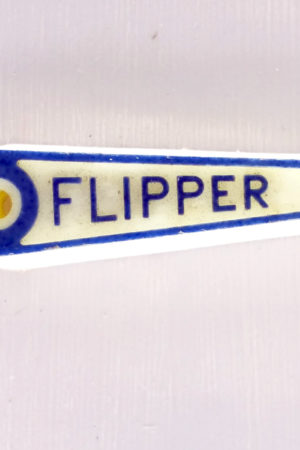 Bras de flipper